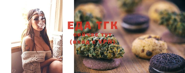 гидра Абаза