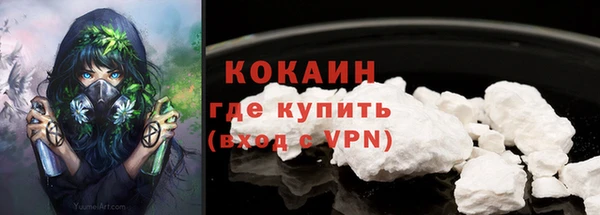 гидра Абаза