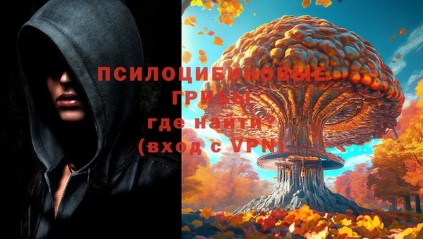 гидра Абаза