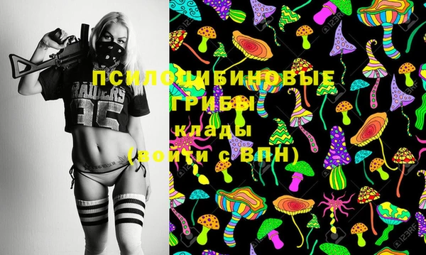 гидра Абаза