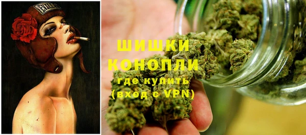 гидра Абаза