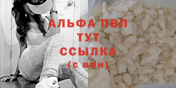 гидра Абаза